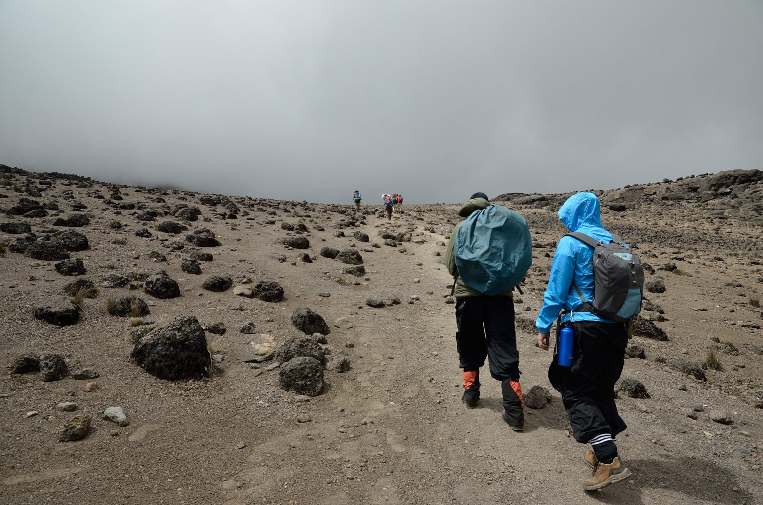 Women Kilimanjaro climb - SFT Tours | Trips for Women