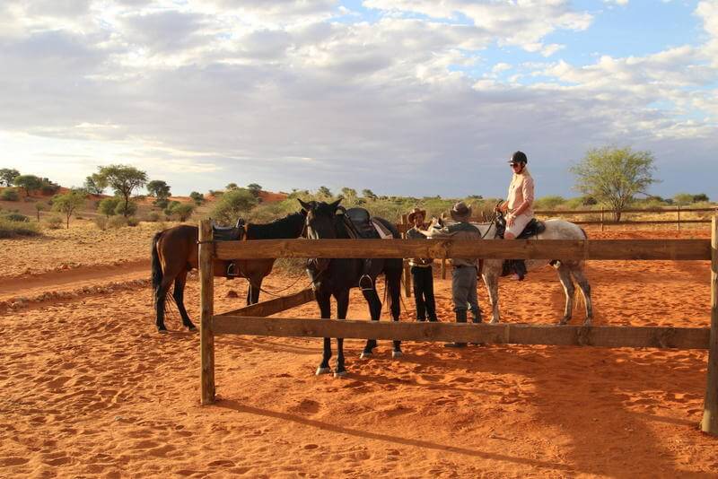 Bagatelle Kalahari Game Ranch Scenic View Low Bagatelle