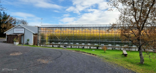 Iceland 1 Oct 22 (212)