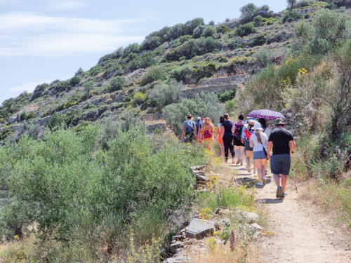 Greece 8 June 2023 (Mar) small-050