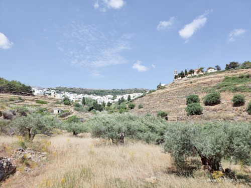 Greece 8 June 2023 (Mar) small-051