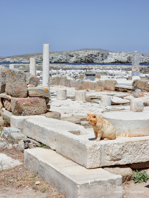 Greece 8 June 2023 (Mar) small-092