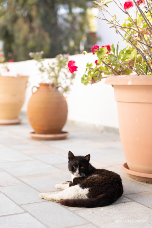 Greece 8 June 2023 (Natasha) small-081