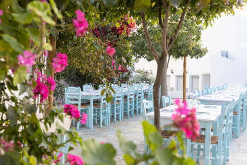 Greece 8 June 2023 (Natasha) small-100