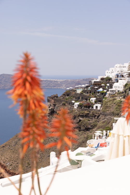 Greece 8 June 2023 (Natasha) small-136