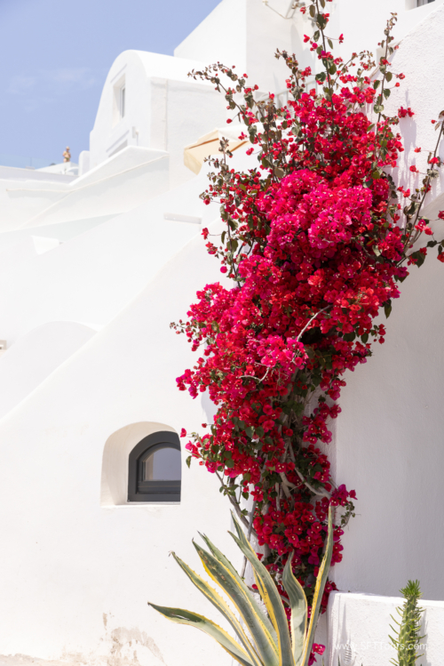 Greece 8 June 2023 (Natasha) small-140