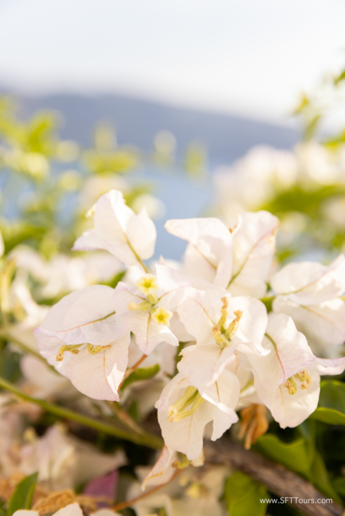 Greece 8 June 2023 (Natasha) small-173