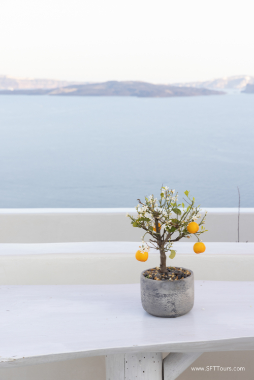 Greece 8 June 2023 (Natasha) small-177