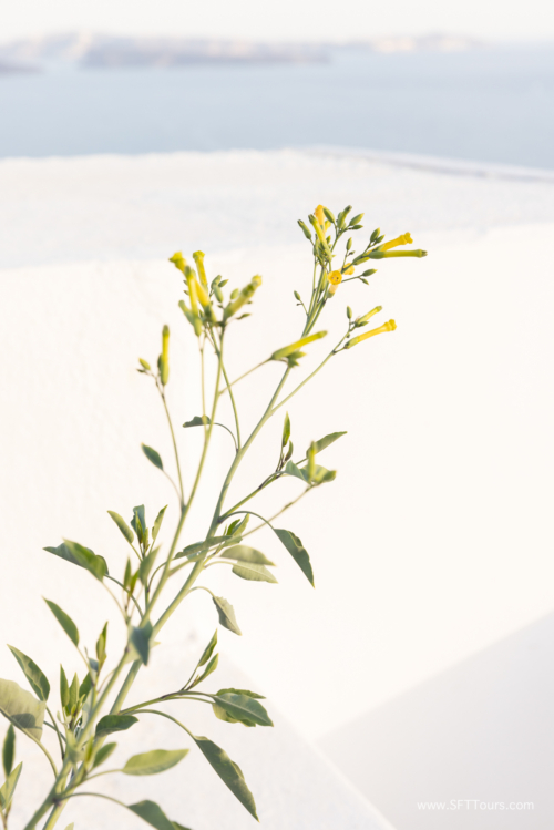 Greece 8 June 2023 (Natasha) small-179