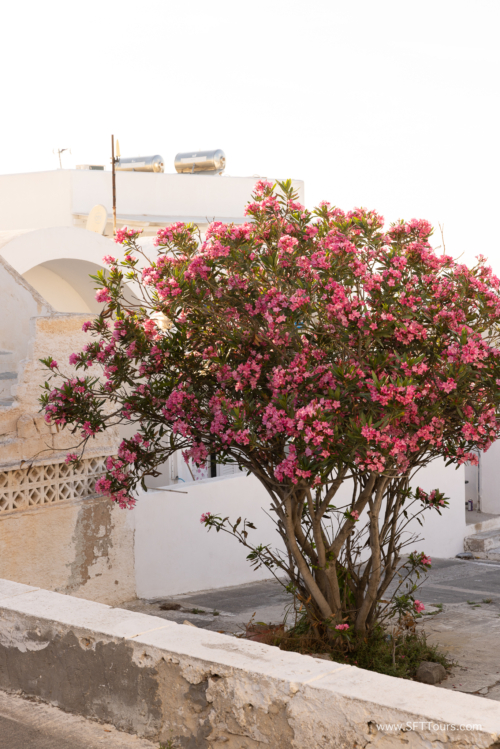 Greece 8 June 2023 (Natasha) small-183