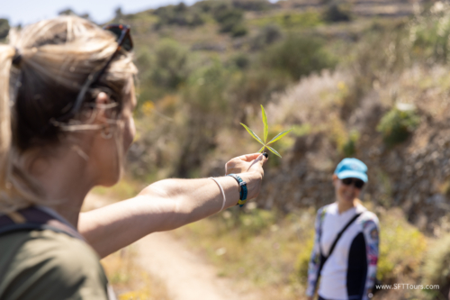 Greece 8 June 2023 (Natasha) small-213