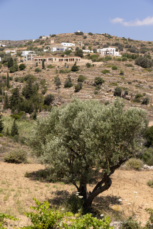 Greece 8 June 2023 (Natasha) small-217