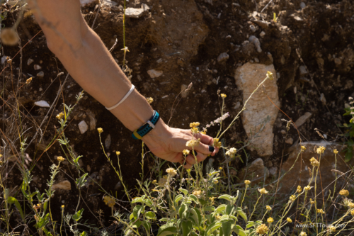 Greece 8 June 2023 (Natasha) small-218