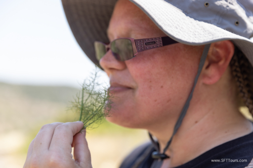 Greece 8 June 2023 (Natasha) small-220