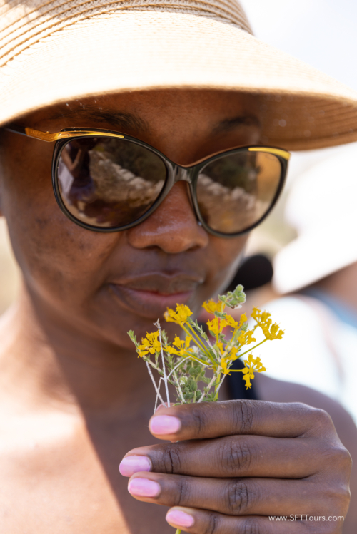 Greece 8 June 2023 (Natasha) small-221