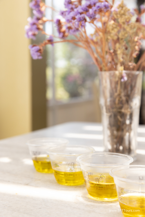 Greece 8 June 2023 (Natasha) small-246