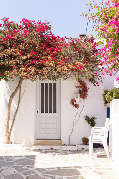 Greece 8 June 2023 (Natasha) small-259