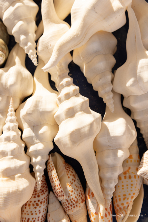 Greece 8 June 2023 (Natasha) small-262