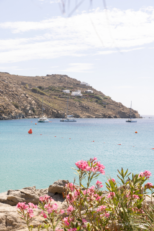 Greece 8 June 2023 (Natasha) small-295