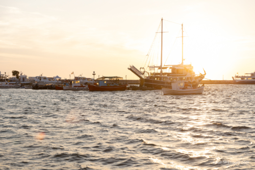 Greece 8 June 2023 (Natasha) small-355