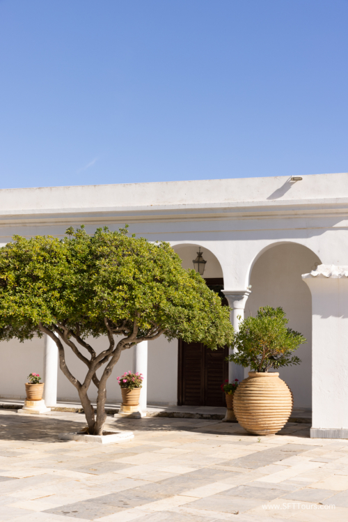 Greece 8 June 2023 (Natasha) small-385