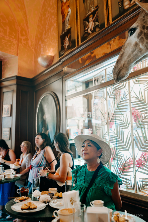 Tuscany July 2023-059