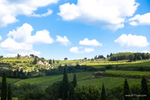 Tuscany July 2023-147