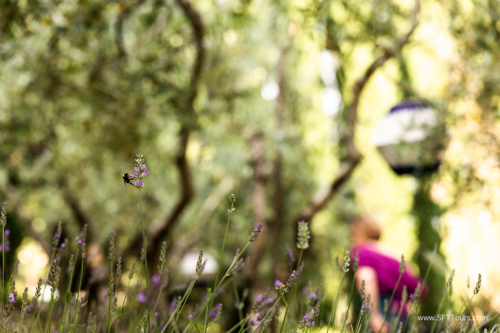 Tuscany July 2023-162