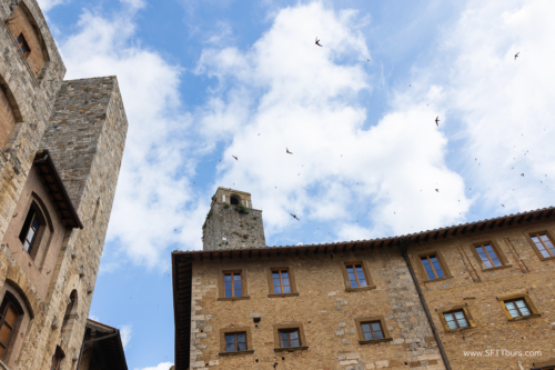 Tuscany July 2023-213