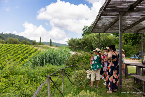 Tuscany July 2023-233