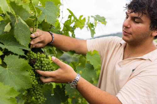 Tuscany July 2023-238