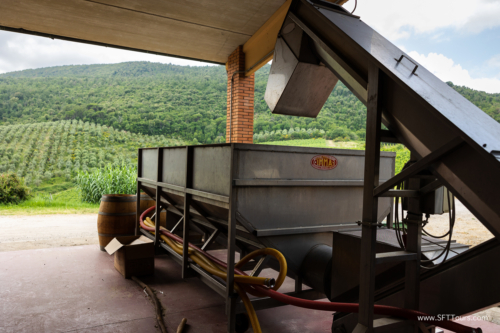 Tuscany July 2023-254