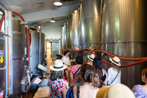 Tuscany July 2023-255