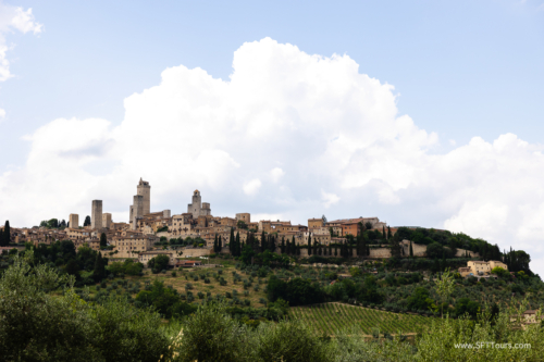 Tuscany July 2023-300