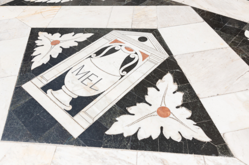 Tuscany July 2023-312