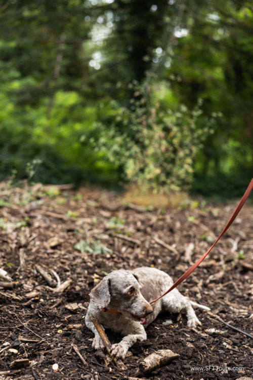 Tuscany July 2023-325