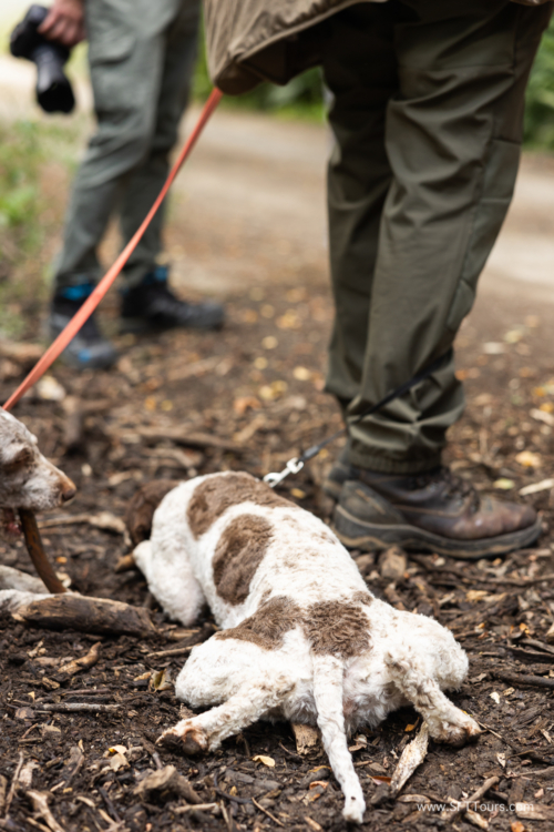 Tuscany July 2023-327