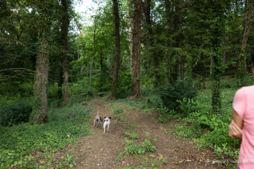 Tuscany July 2023-338