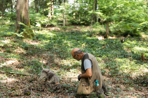 Tuscany July 2023-339
