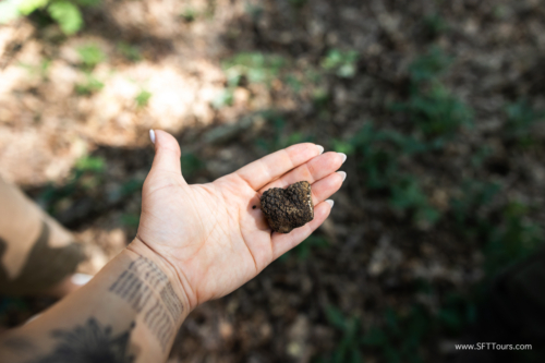 Tuscany July 2023-345