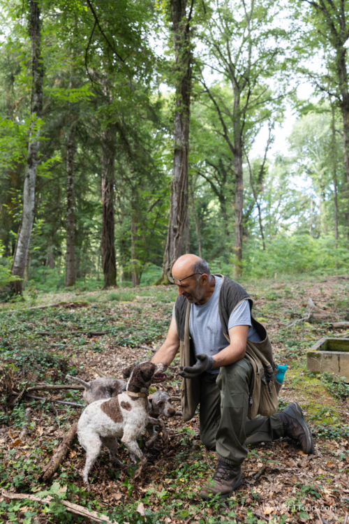 Tuscany July 2023-359