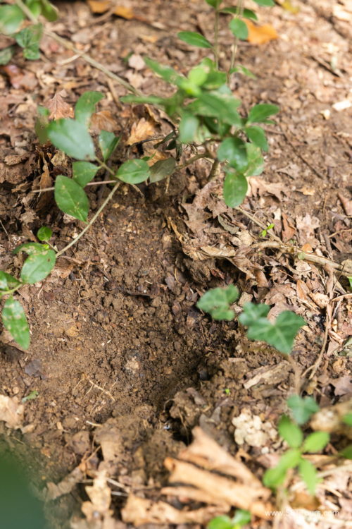 Tuscany July 2023-362