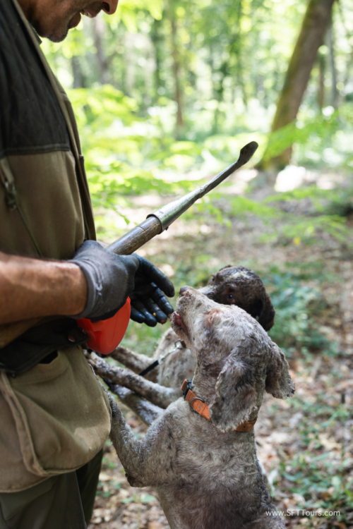 Tuscany July 2023-367