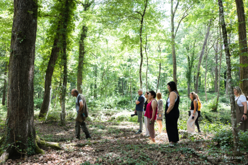 Tuscany July 2023-372