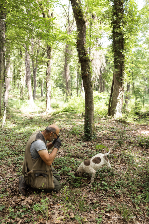 Tuscany July 2023-373