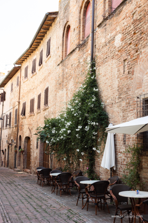 Tuscany July 2023-426