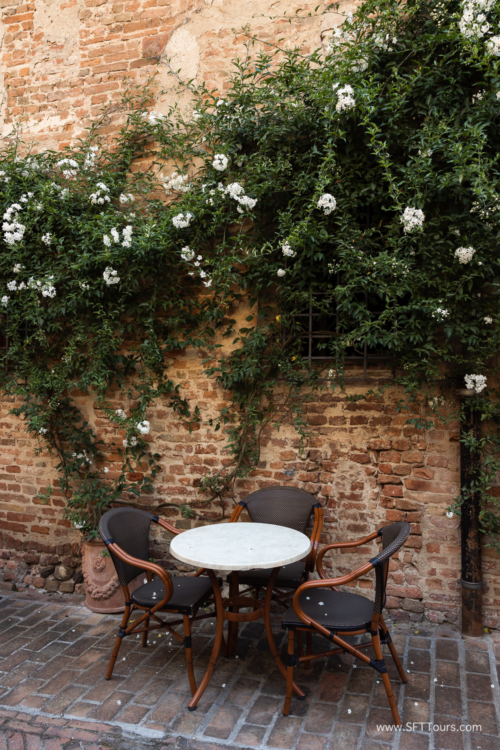 Tuscany July 2023-427