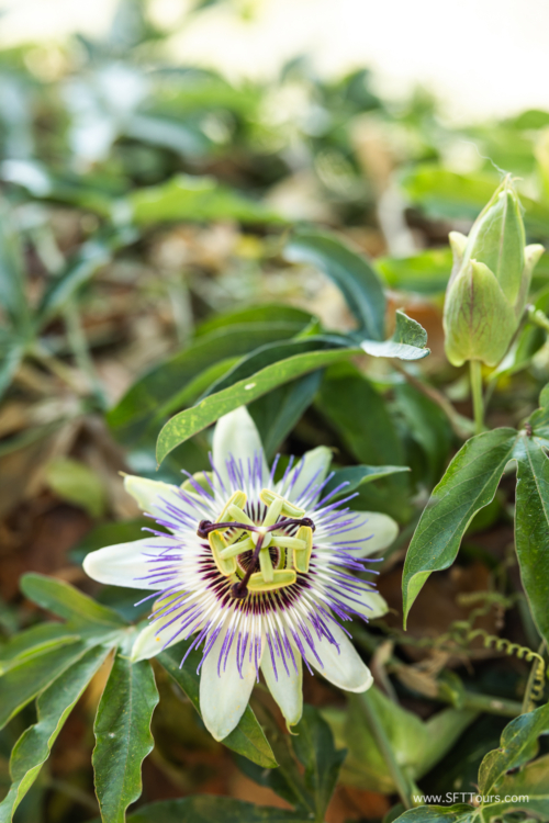 Tuscany July 2023-432