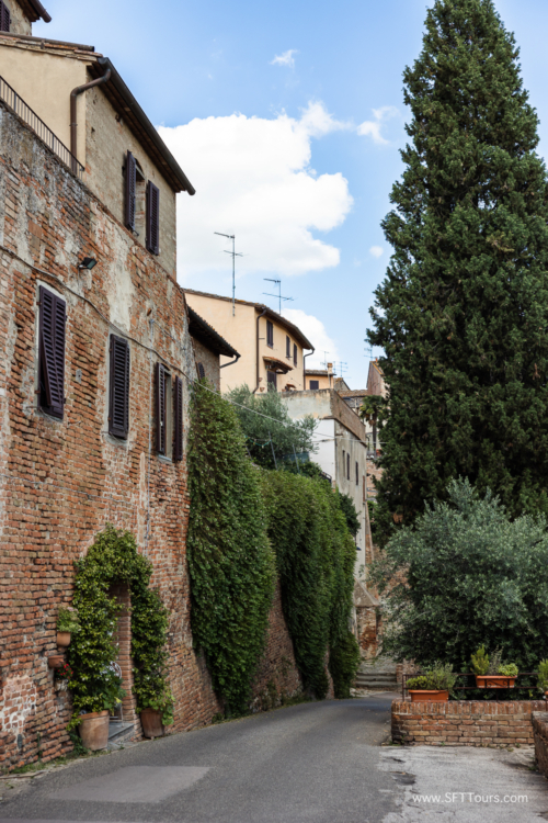 Tuscany July 2023-447