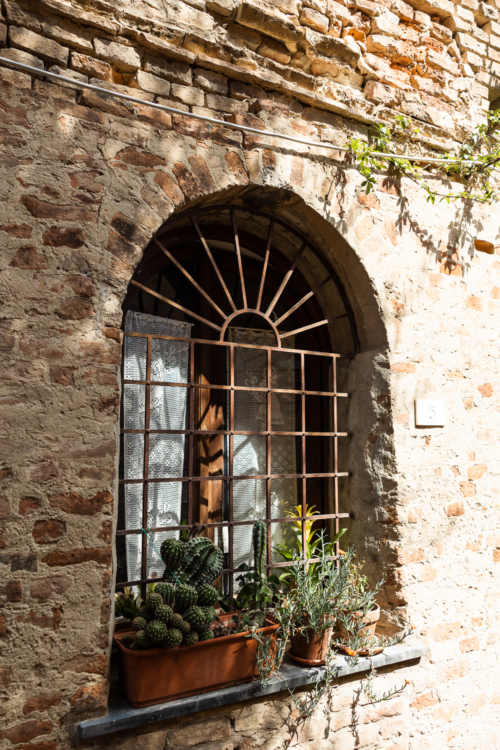 Tuscany July 2023-449